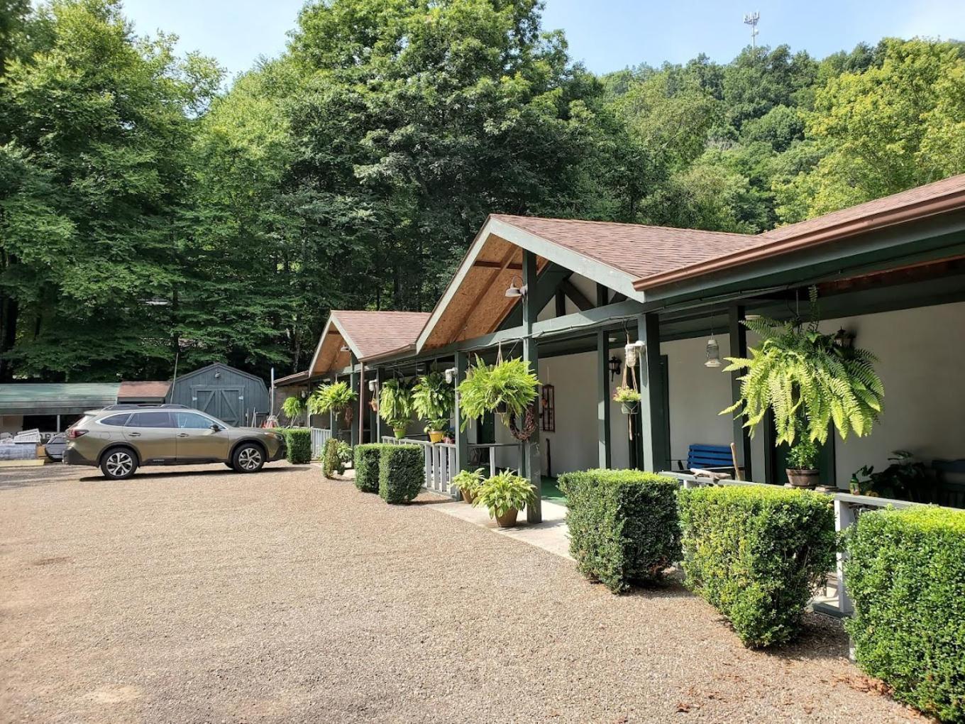 Lodge At Mount Mitchell Busick Dış mekan fotoğraf